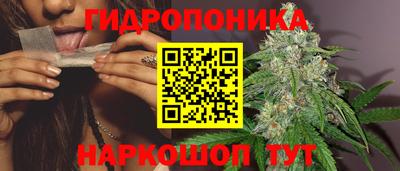 МДПВ Канаш